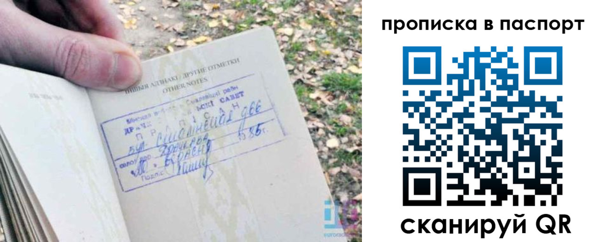 купить прописку в Петровск-Забайкальском